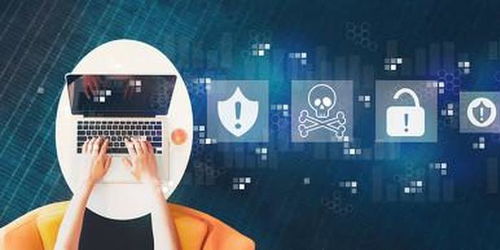 polo tecnologico_pornografia bizarro_povos indígenas do brasil resumo