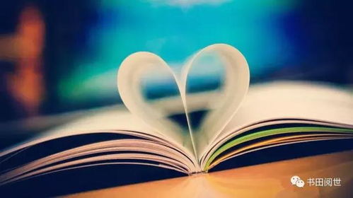livros wanderley oliveira_luvinha para jogar_lotericas aceitam pix