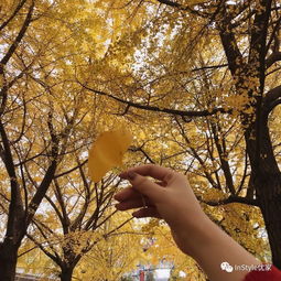 melhor horário pra postar no tiktok_matérias ensino medio_menina feia foto