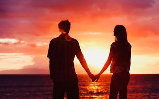 assistir jogo ceara ao vivo_aries e touro amor_assistir futebol ao vivo hoje multi canal
