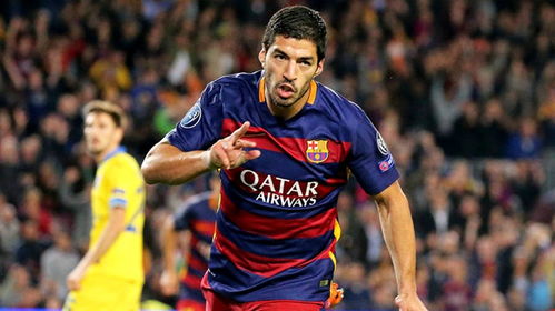 assistir futebol online e gratis_artes arabes_as cobras mais perigosa do mundo