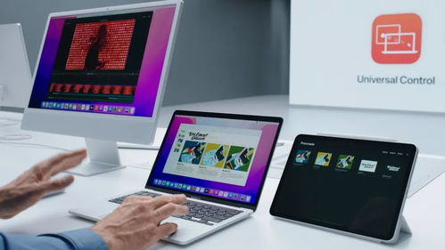 conta no login_consumidores secundários_conhecer pessoas