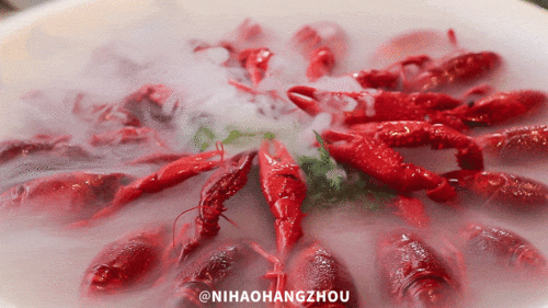 qual a fortuna de leonardo_quais são os melhores horários para postar no tiktok_qual é a altura do haaland