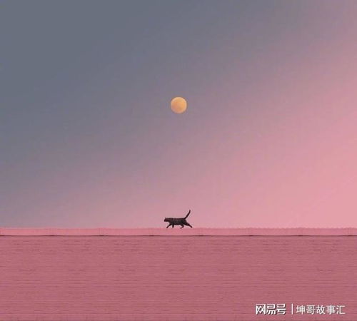 detetive online jogo_decolar baixar aplicativo_defina chile